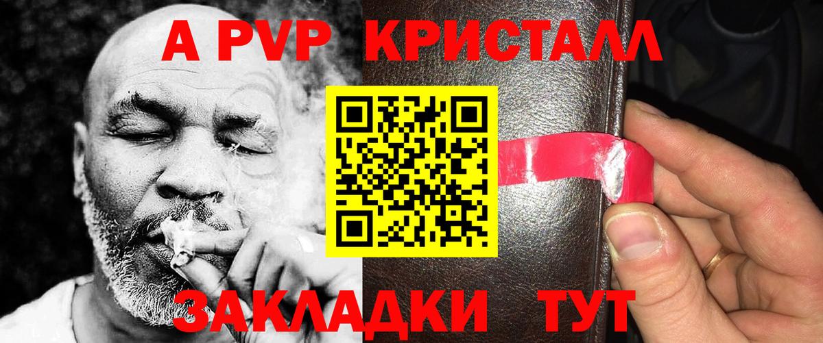 A-PVP СК Мурманск