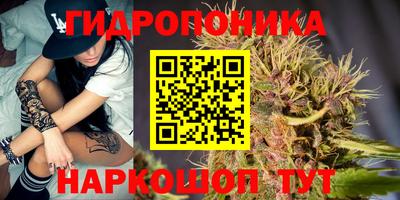 гашик Татарск