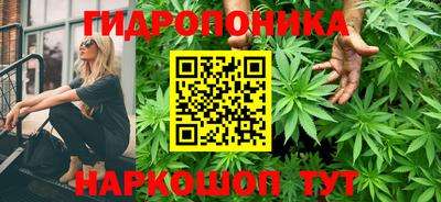 гашик Татарск