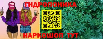 прущие крисы Тверь