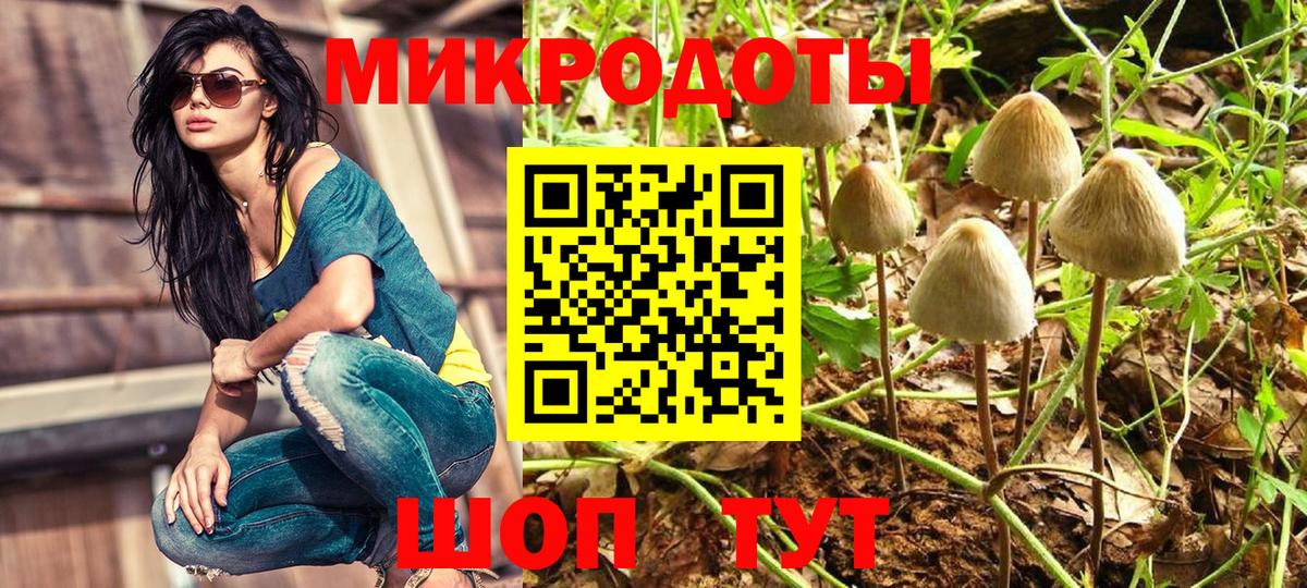 Псилоцибиновые грибы Cubensis Мурманск