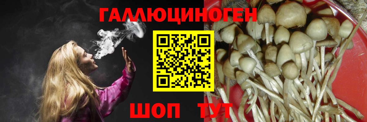 Псилоцибиновые грибы Psilocybe  Вход с VPN  Псилоцибиновые грибы Cubensis  Мурманск 